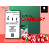 LIMITLESS CRANBERRY MAX SUPPORTS HEALTHY URINARY TRACT DIETARY SUPPLEMENT 20 STICK PACKS